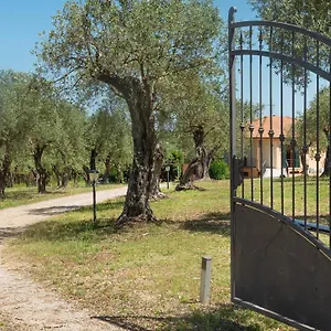 Nocleg ze śniadaniem Welcomely - Country Olivar